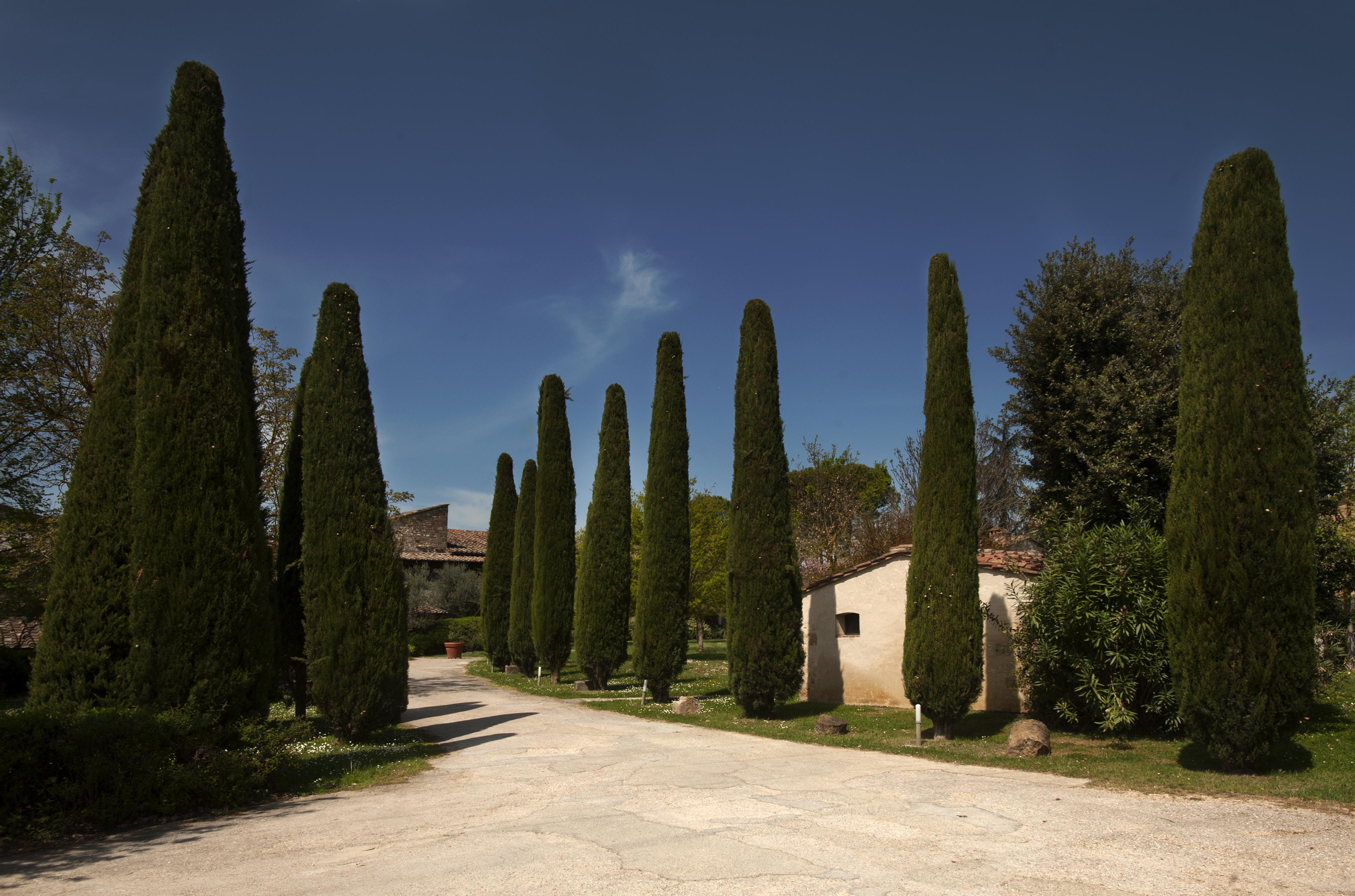 Relais Della Rovere Colle Val D'Elsa Bagian luar foto